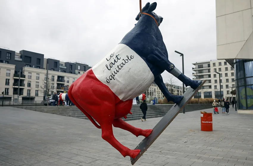 mercosur-3-850x560-1