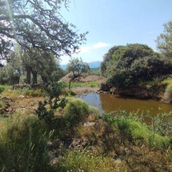 2-CEA3CE91CEA1CE91CE9ACE97CE9DCE91-CEA4CE91CEA6CE97-CE94CE99CEA0CE9BCE91-CEA3CEA4CE9F-CE9DCE95CEA1CE9F1